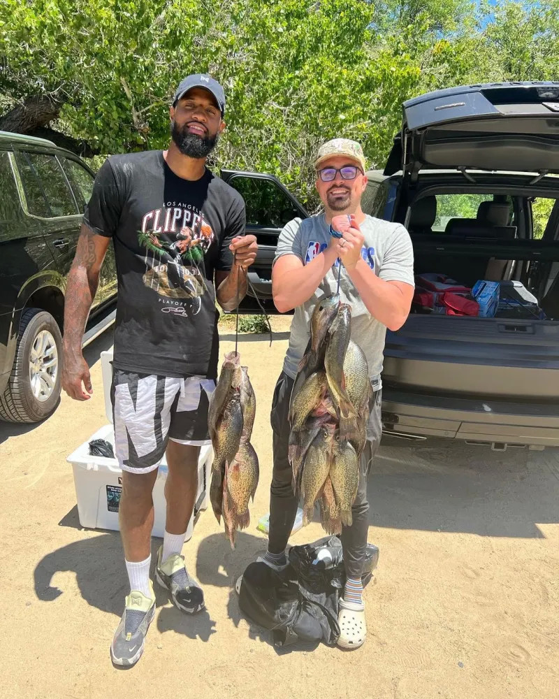 冬的到来 冬的到来